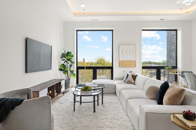 2354 W Farragut Ave Unit Ph-404, Chicago, IL 60625 - living room with a tray ceiling