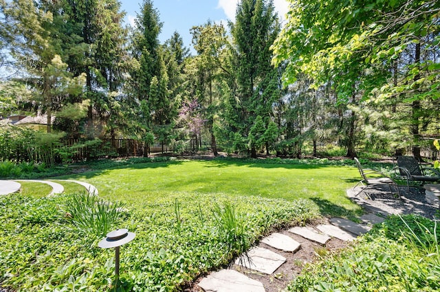 494 Greenleaf Ave, Glencoe, IL 60022 - view of yard