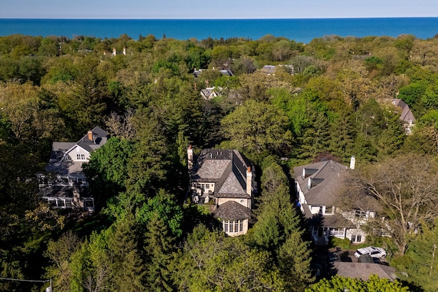 494 Greenleaf Ave, Glencoe, IL 60022 - drone / aerial view of a forest and a large body of water
