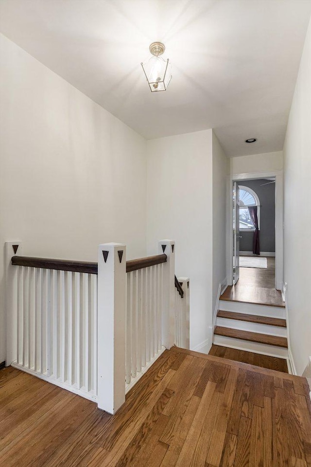 230 N Wisner St, Park Ridge, IL 60068 - stairway featuring wood finished floors and baseboards