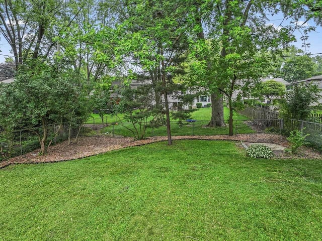 169 S Ellyn Ave, Glen Ellyn, IL 60137 - view of yard