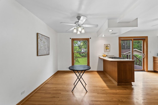 169 S Ellyn Ave, Glen Ellyn, IL 60137 - kitchen featuring a peninsula, light wood-style floors, plenty of natural light, and a ceiling fan