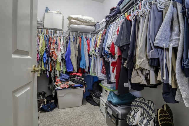 608 Bridgeman Ln, Romeoville, IL 60446 - spacious closet featuring carpet