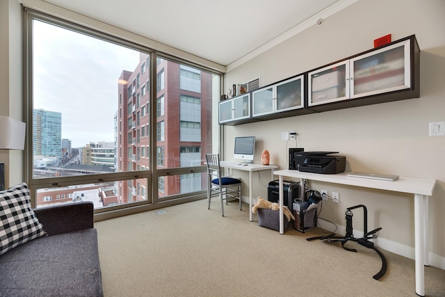 1570 Elmwood Ave Unit 910, Evanston, IL 60201 - office space featuring carpet, a view of city, baseboards, and ornamental molding
