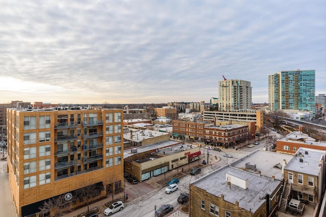 1570 Elmwood Ave Unit 910, Evanston, IL 60201 - view of city