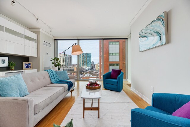 1570 Elmwood Ave Unit 910, Evanston, IL 60201 - living room featuring a wall of windows, light wood finished floors, rail lighting, baseboards, and a city view