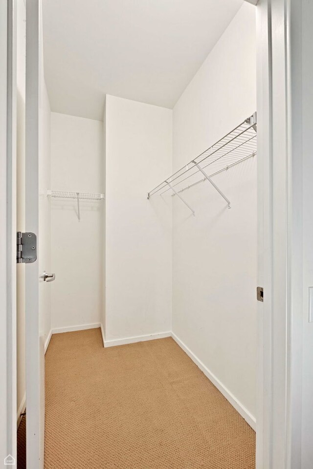 240 E Illinois St Unit 805, Chicago, IL 60611 - walk in closet with light colored carpet