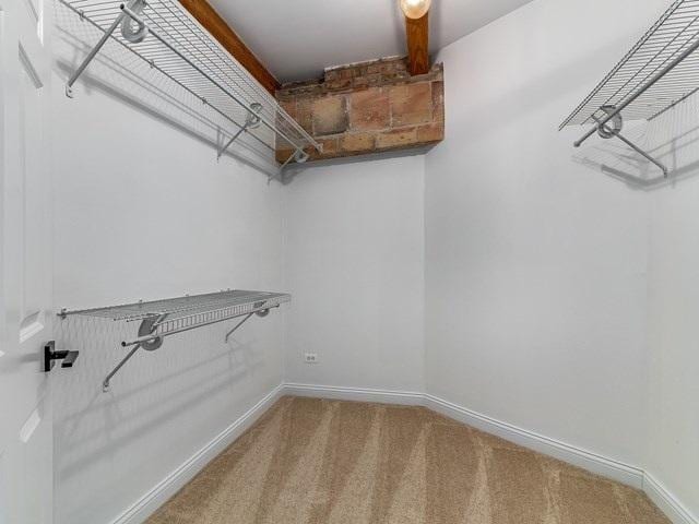 50 E 26th St Unit 406, Chicago, IL 60616 - walk in closet featuring carpet