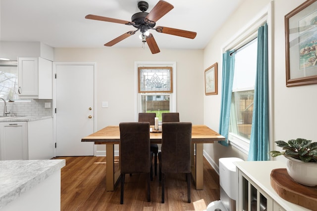 206-208 N Fremont St, Naperville, IL 60540 - dining room with plenty of natural light, wood finished floors, and a ceiling fan