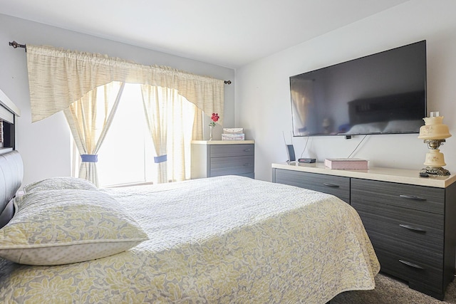 15 Brittany Ct, South Elgin, IL 60177 - view of bedroom