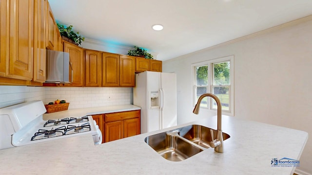 1510 Hillside Ln, Mchenry, IL 60051 - kitchen featuring white appliances, a sink, ornamental molding, light countertops, and decorative backsplash