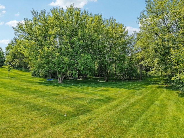 1719 Vivian Way Ct, Lakemoor, IL 60051 - photo 34