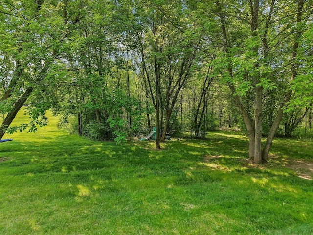 1719 Vivian Way Ct, Lakemoor, IL 60051 - photo 35
