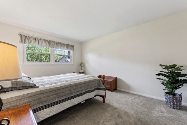 1805 E Tano Ln, Mount Prospect, IL 60056 - bedroom with carpet floors and baseboards