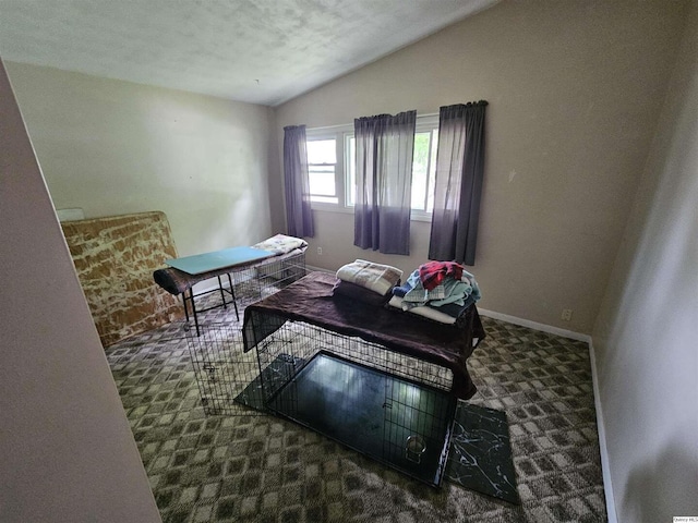612 Edgewood Dr, Quincy, IL 62301 - carpeted living area with vaulted ceiling and baseboards