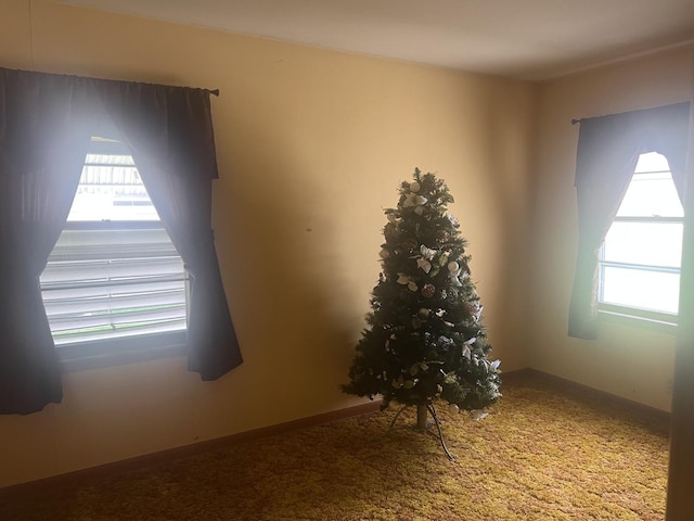 204 Elm St, Morrison, IL 61270 - spare room featuring healthy amount of natural light and carpet