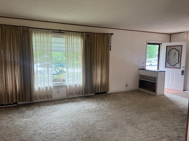 204 Elm St, Morrison, IL 61270 - unfurnished living room featuring a textured ceiling, carpet flooring, and a fireplace