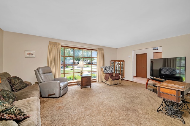 25408 W Willow Dr, Plainfield, IL 60544 - living area with carpet floors