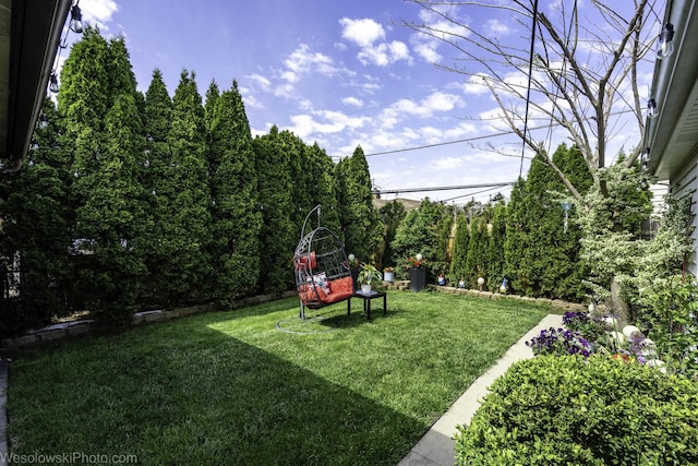 5036 Ozark Ave, Norridge, IL 60706 - view of green lawn