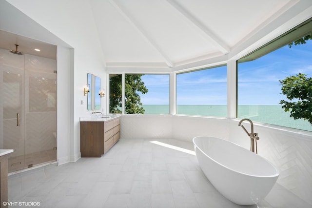 90 Kedzie St, Evanston, IL 60202 - bathroom with a water view, a shower stall, vanity, and a soaking tub