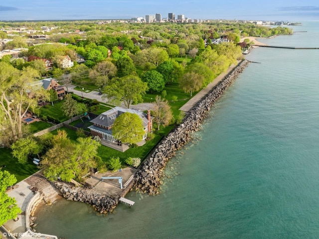 90 Kedzie St, Evanston, IL 60202 - drone / aerial view of a large body of water