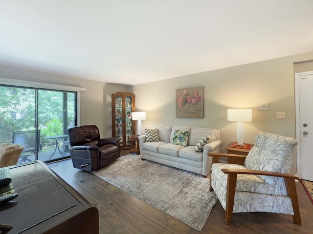 258 Brookside Ln Unit B, Willowbrook, IL 60527 - living room with wood finished floors