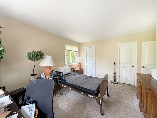 258 Brookside Ln Unit B, Willowbrook, IL 60527 - bedroom featuring light colored carpet