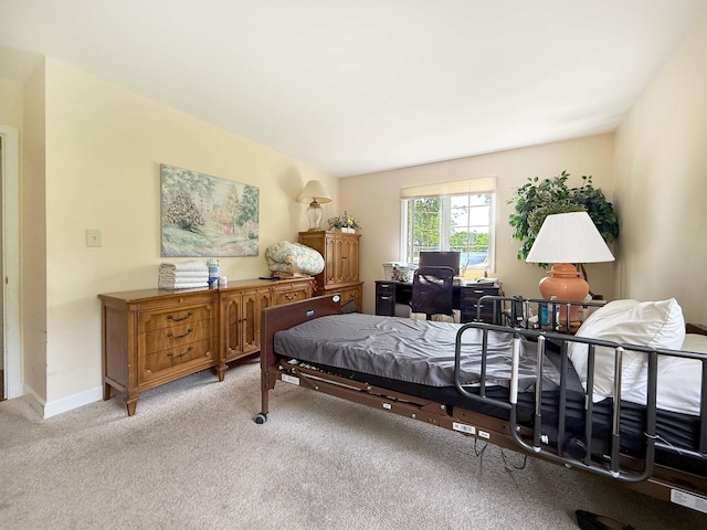 258 Brookside Ln Unit B, Willowbrook, IL 60527 - bedroom with light colored carpet