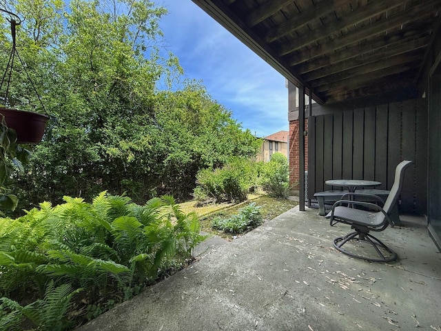 258 Brookside Ln Unit B, Willowbrook, IL 60527 - view of patio