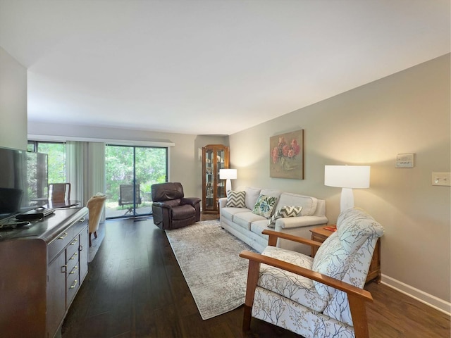 258 Brookside Ln Unit B, Willowbrook, IL 60527 - living room with dark wood-type flooring and baseboards