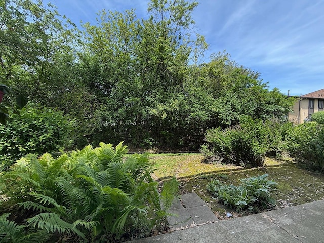 258 Brookside Ln Unit B, Willowbrook, IL 60527 - view of yard