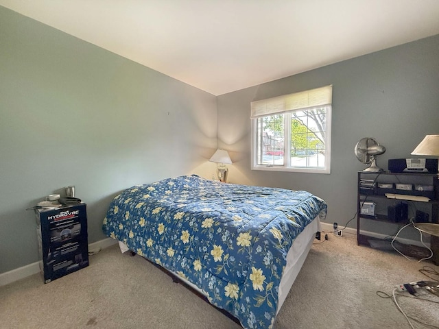 258 Brookside Ln Unit B, Willowbrook, IL 60527 - bedroom featuring carpet and baseboards