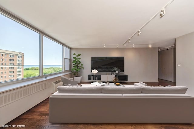 4250 N Marine Dr Unit 1628, Chicago, IL 60613 - living area featuring radiator, wood finished floors, and track lighting