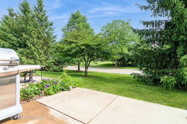 6N365 Whitmore Cir Unit C, Saint Charles, IL 60174 - photo 26