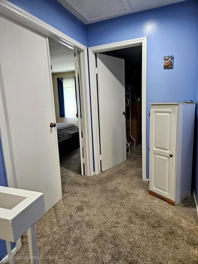 306 Milton Ct Unit B, Bloomingdale, IL 60108 - hall featuring carpet and attic access
