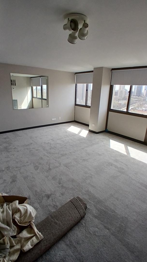 4850 S Lake Park Ave Unit 1409, Chicago, IL 60615 - spare room featuring light carpet and baseboards