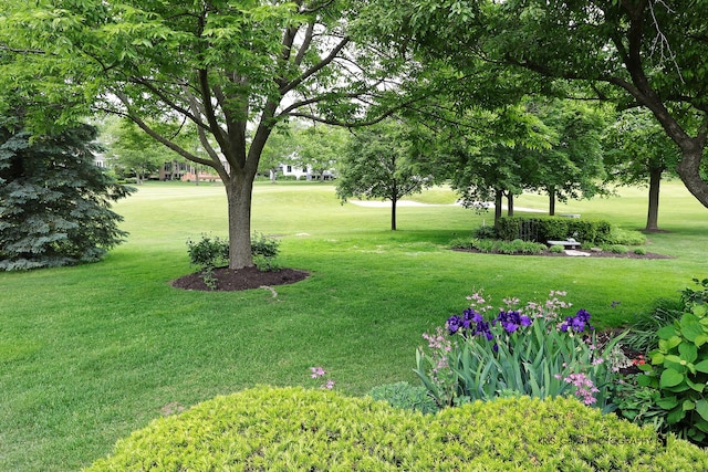 1420 Greenlake Dr, Aurora, IL 60502 - view of green lawn