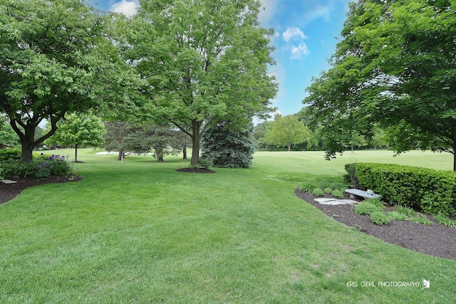 1420 Greenlake Dr, Aurora, IL 60502 - view of grassy yard featuring view of scattered trees