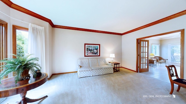 1420 Greenlake Dr, Aurora, IL 60502 - living area featuring plenty of natural light, carpet, and crown molding