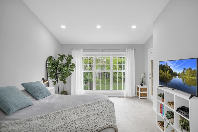 886 Ann Arbor Ln, Vernon Hills, IL 60061 - bedroom with carpet floors and recessed lighting