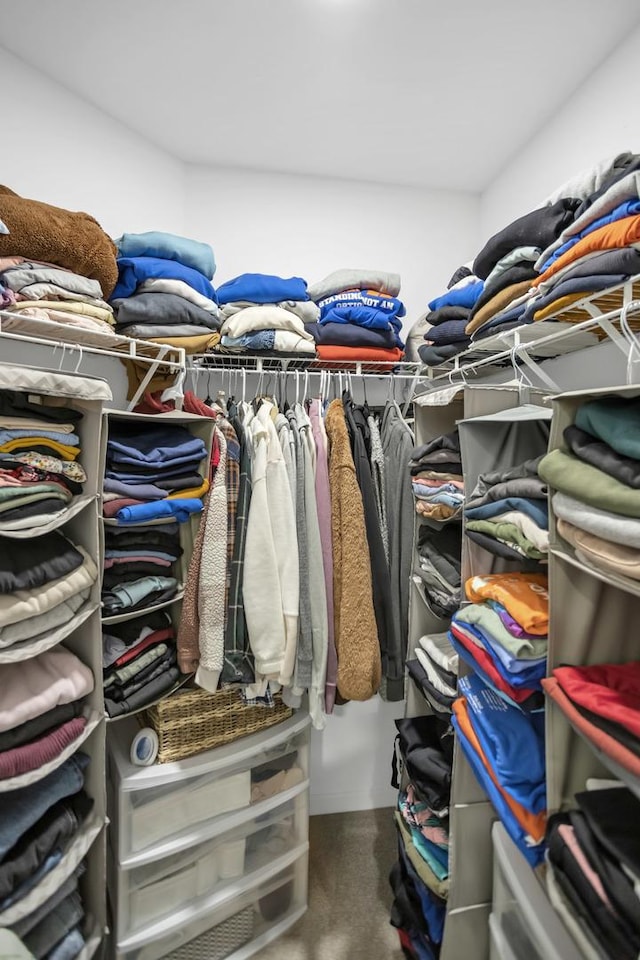 886 Ann Arbor Ln, Vernon Hills, IL 60061 - walk in closet featuring carpet