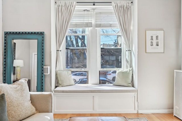 2149 N Seminary Ave Unit A, Chicago, IL 60614 - living area featuring light wood-style flooring