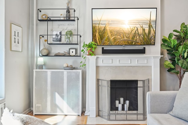 2149 N Seminary Ave Unit A, Chicago, IL 60614 - living room with a fireplace