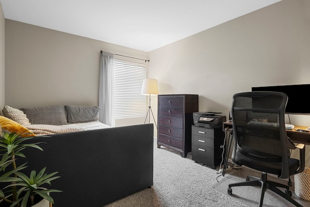 1585 Belle Haven Dr, Grayslake, IL 60030 - home office featuring light carpet
