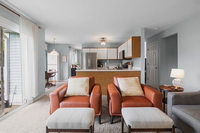1585 Belle Haven Dr, Grayslake, IL 60030 - living area with plenty of natural light and light carpet