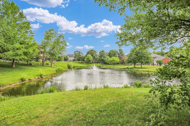 2502 Prairie Ridge Pl, Champaign, IL 61822 - water view
