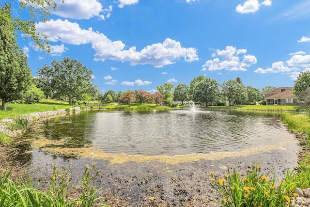 2502 Prairie Ridge Pl, Champaign, IL 61822 - water view