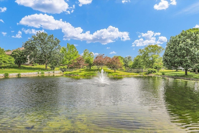 2502 Prairie Ridge Pl, Champaign, IL 61822 - water view