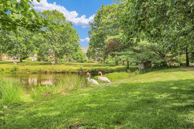 2502 Prairie Ridge Pl, Champaign, IL 61822 - water view