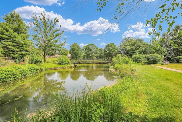 2502 Prairie Ridge Pl, Champaign, IL 61822 - water view